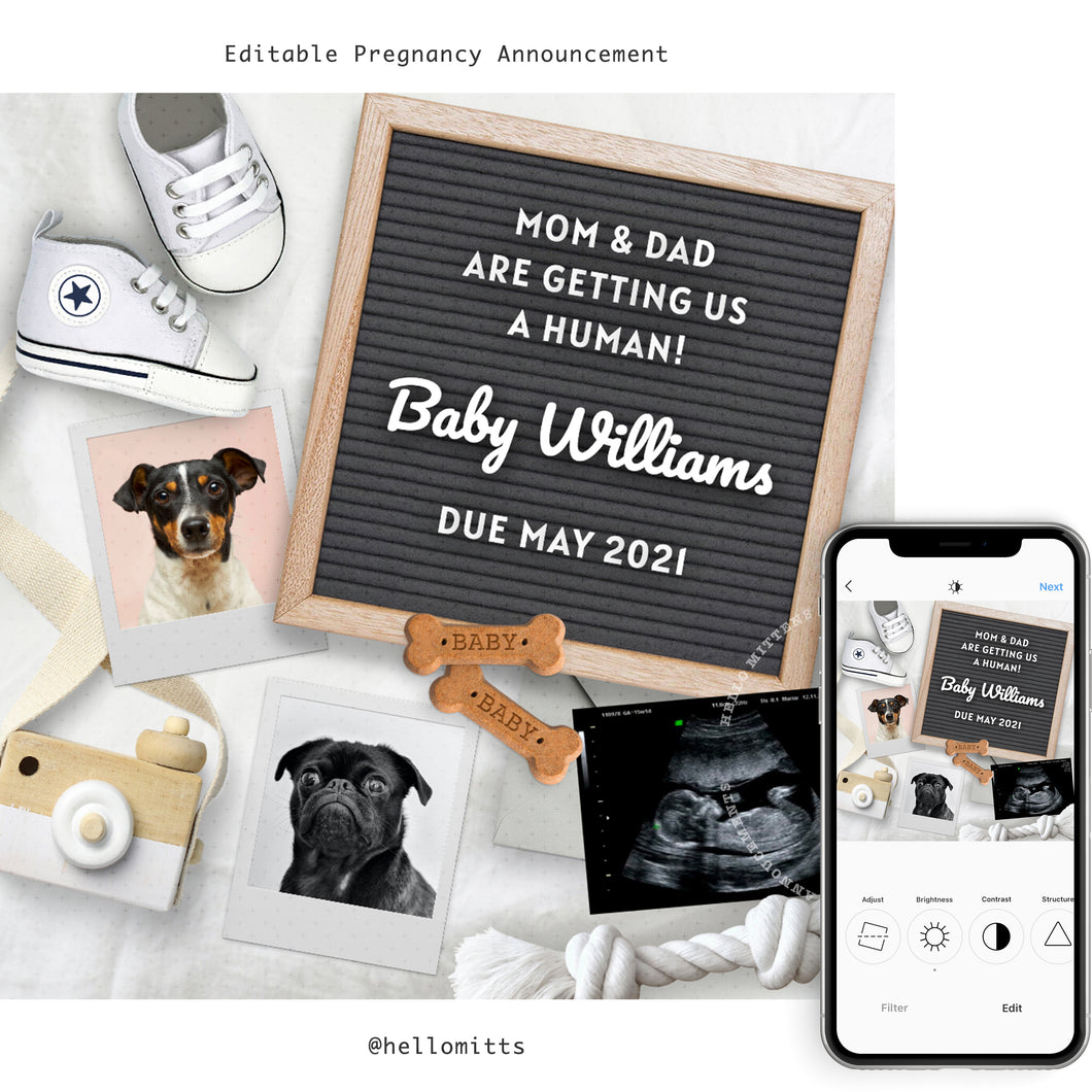 Dog Mom to Baby Mom, Editable pregnancy announcement, Pet lover template DIY baby announce or Gender reveal for social media.