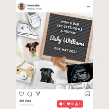 Load image into Gallery viewer, Dog Mom to Baby Mom, Editable pregnancy announcement, Pet lover template DIY baby announce or Gender reveal for social media.

